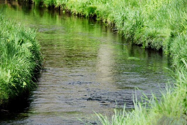 都川水の里公園
