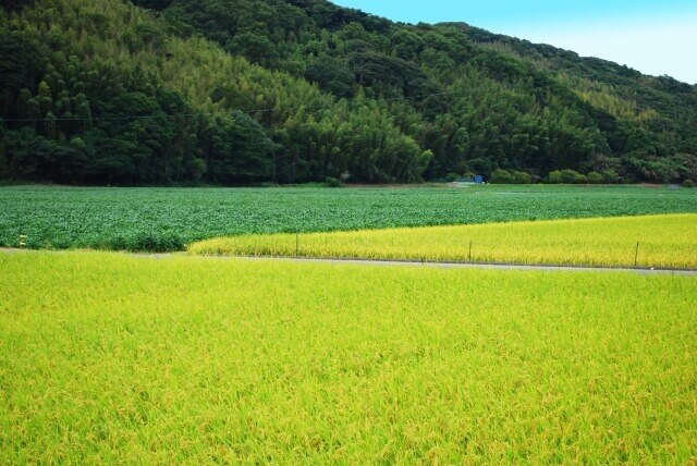 伊賀市農業公園