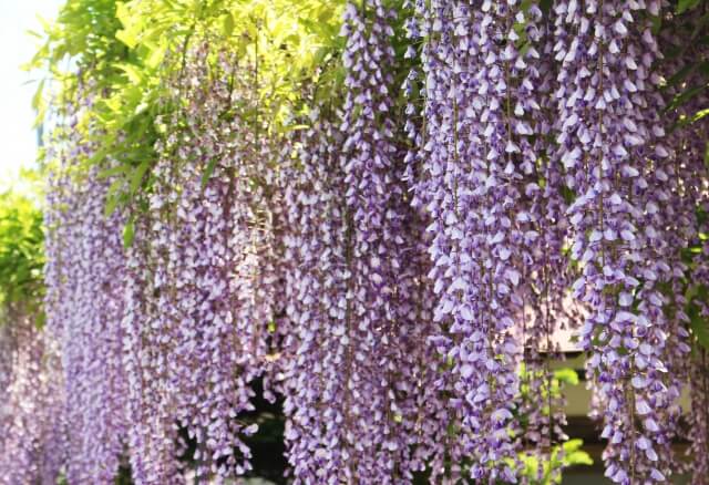 唐糸御前史跡公園