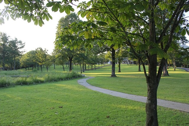 木更津新港公園