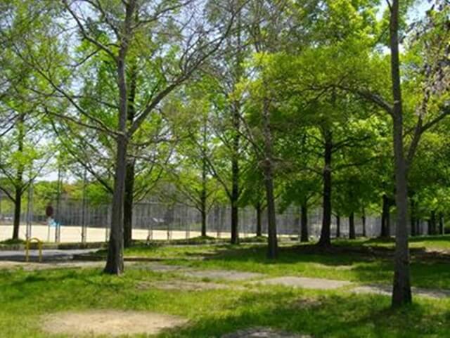 横大路運動公園