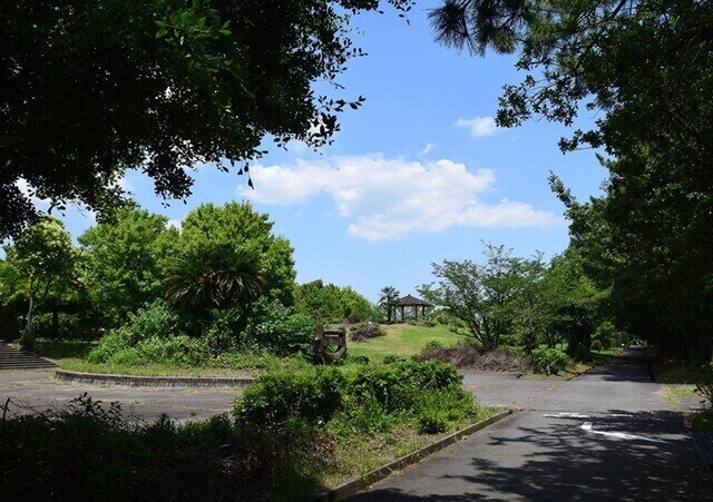浜園緑地公園