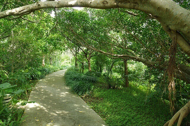海のふるさと公園