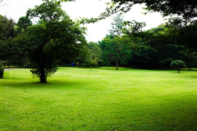 南長野運動公園