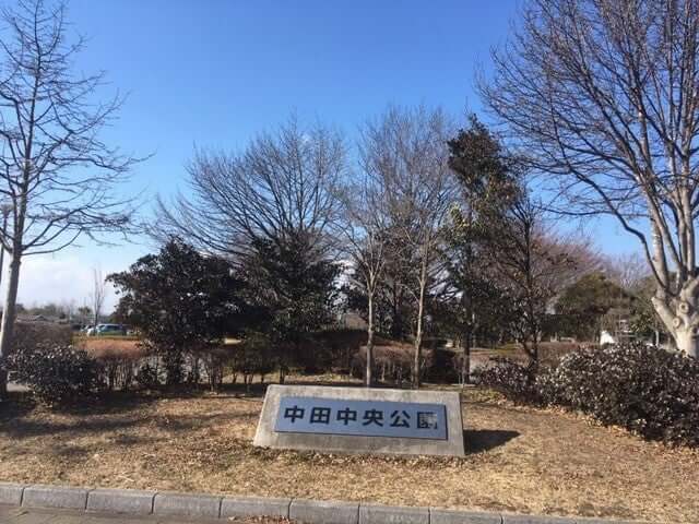 中田中央公園
