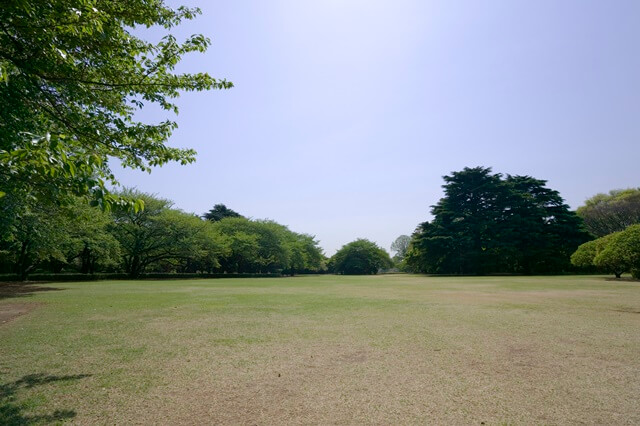 高知県立池公園