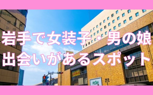 岩手で女装子と出会いがあるスポット